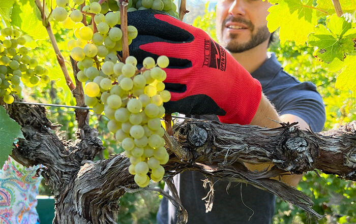 Epic Cycling Gold Tour